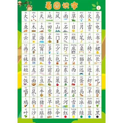 儿童宝宝看图识字挂图