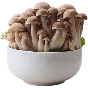 新鲜蟹味菇蘑菇食用菌白玉蘑菇新鲜蔬菜菌汤生鲜5袋每份包邮10