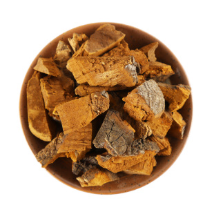 桑黄中药材100g克长白山野生桑黄针层孔菌桑黄菇桑臣灵芝茶可磨粉