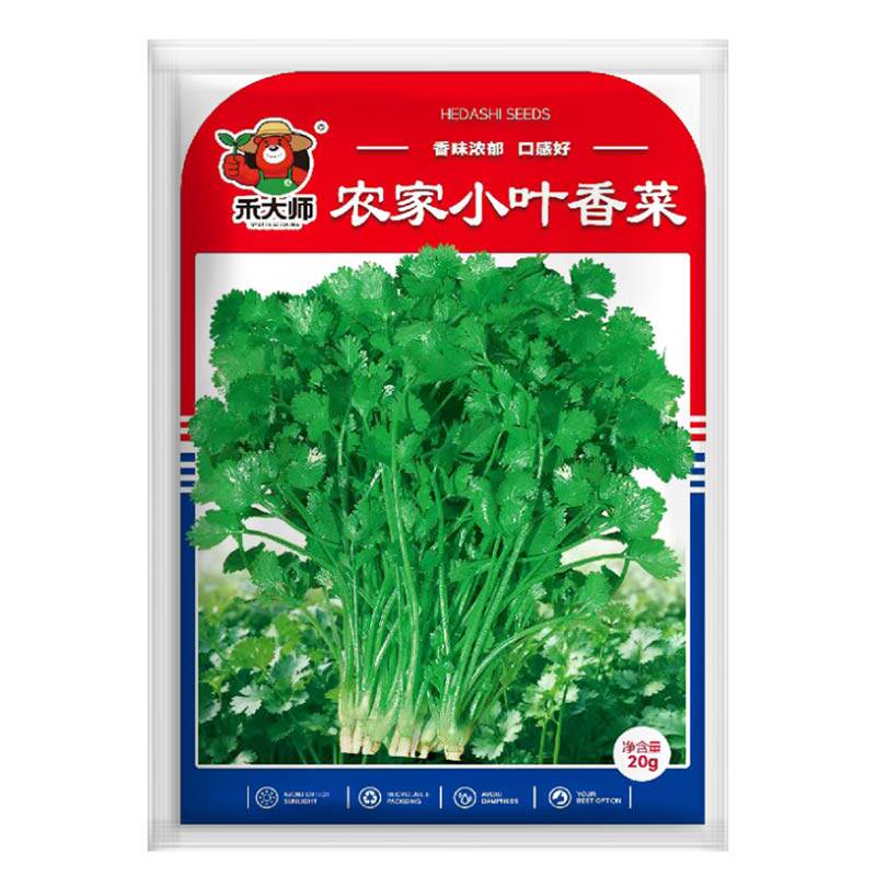 农家小叶香菜种子更地道更浓香长势旺盛阳台庭院盆栽种植蔬菜种子