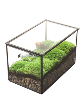 微景观玻璃生态瓶手工苔藓diy