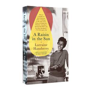 【美国进口】英文原版 A Raisin in the Sun 日光下的葡萄干 阳光下的葡萄干 汉斯电影 进口  书