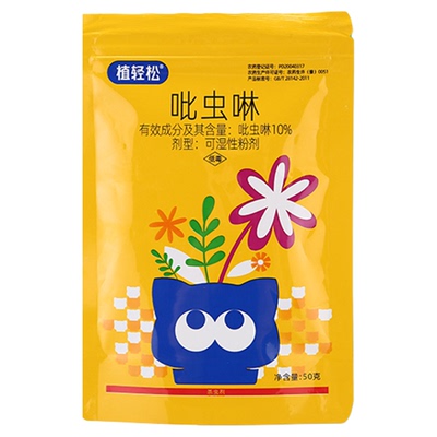 菊花黑虫子蚜虫黑斑药