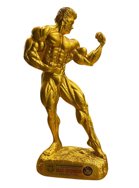 健美刻字赛事奖杯健身主题装饰品