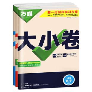 安徽适用万唯大小卷七八九年级下册上语文数学英语物理化学政治历史生物地理人教版北师大试卷全套同步测试初中一二卷子中考万维下