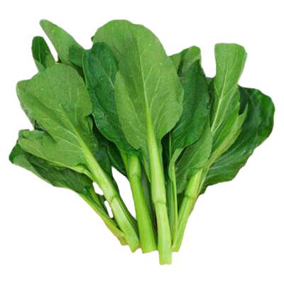 菜心 菜苔 油菜苔菜心 白灼、蒜香  菜台上海直发 24小时发货