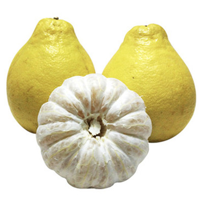 正宗容县沙田柚广西纯甜乾隆柚子