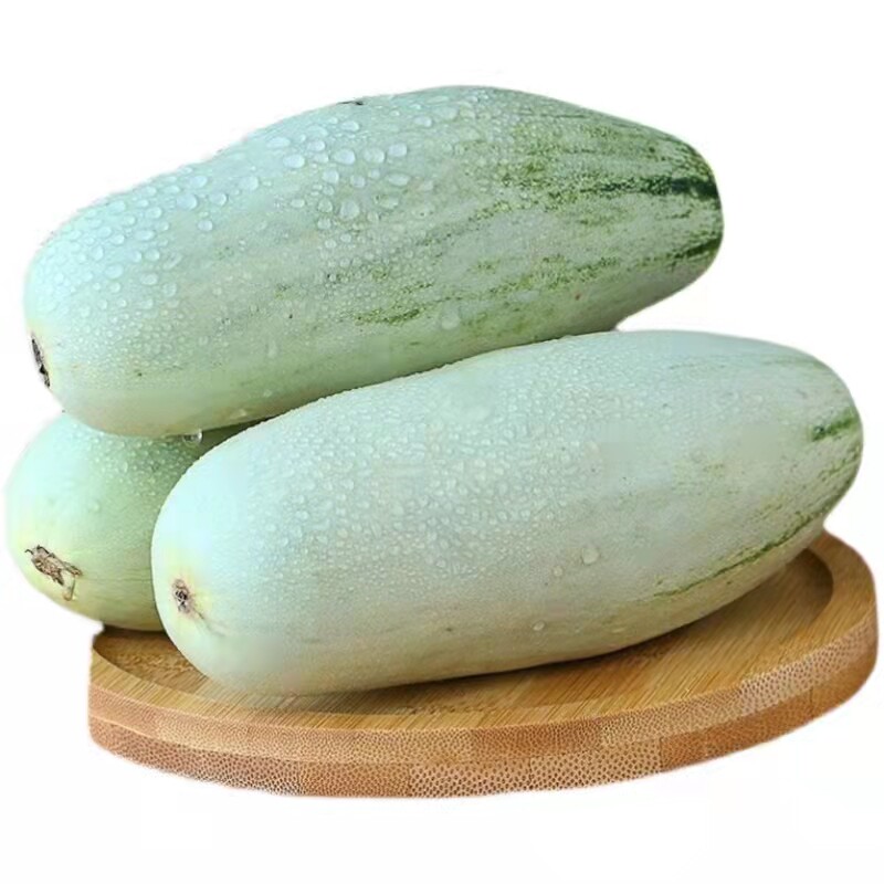 山东羊角蜜甜瓜蜜瓜香瓜顺丰包邮