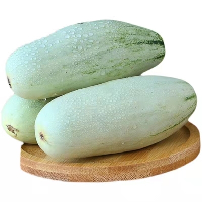 山东羊角蜜甜瓜蜜瓜香瓜顺丰包邮