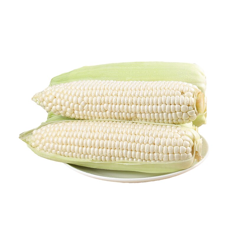爆浆冰糖水果玉米现摘即食可生吃
