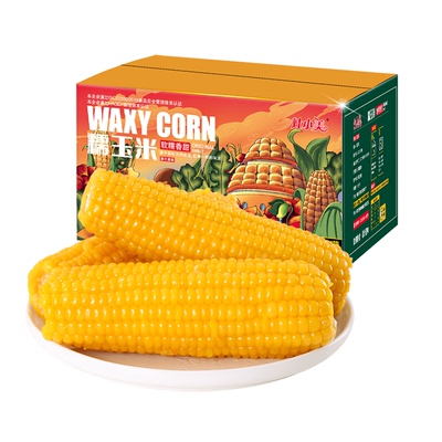 灶小美内蒙古黄糯玉米棒粘黏苞米