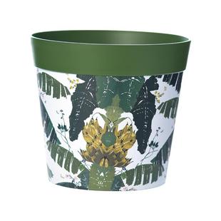 花信丛林盆套盆无孔花盆碗莲盆花盆兰花盆蝴蝶兰盆热植盆养鱼盆