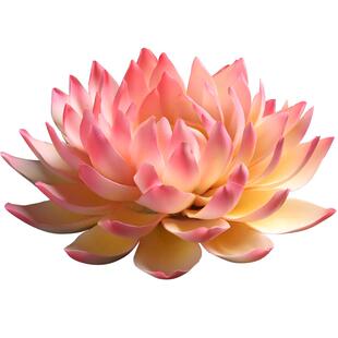 陶瓷莲花摆件新中式荷花禅意家居饰品客厅茶室佛堂佛系装饰工艺品