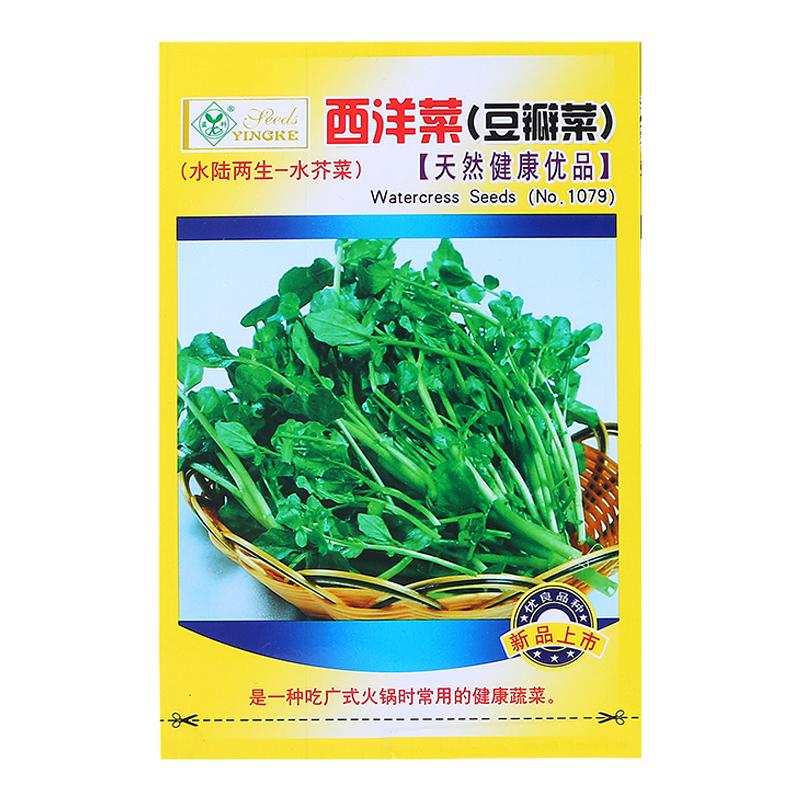 盆栽多年生西洋菜种籽豆瓣菜四季种植儿童保健蔬菜种子水培水芥菜