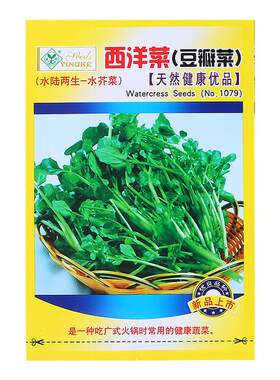 今年新种子西洋菜种子买2送1
