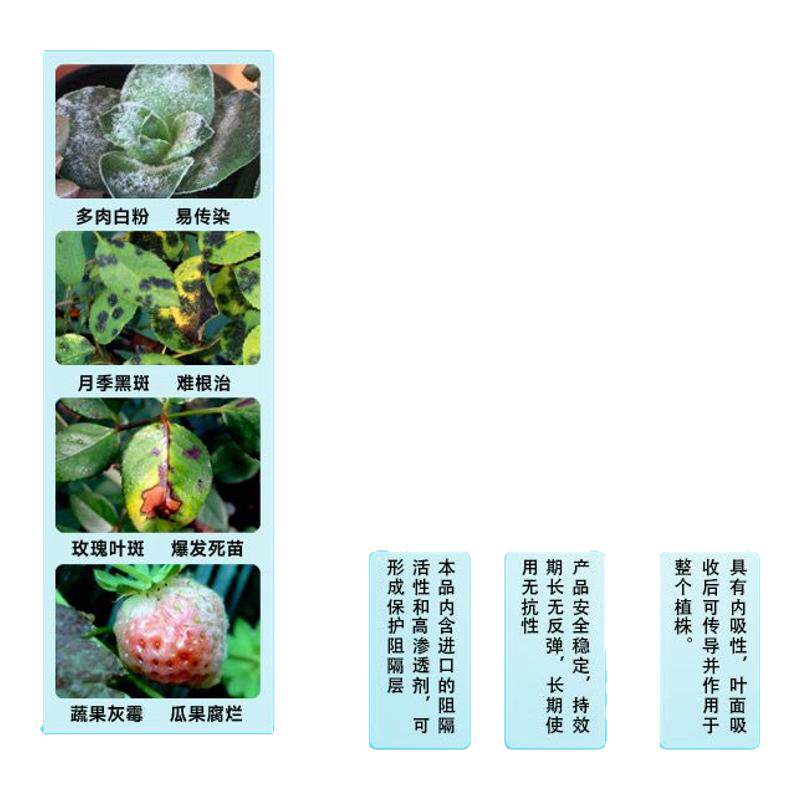 营养液植物通用型发财树免稀释