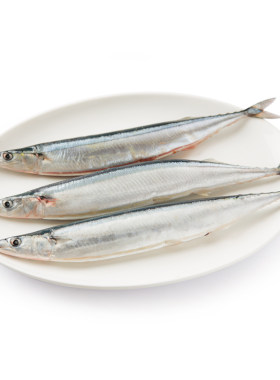 3-4条 500g 新鲜秋刀鱼北海道日料食材 烧烤海鲜 冷冻水产
