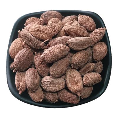 砂仁新货无硫阳春砂仁毛砂仁沙仁煲汤泡水厨房调味品散装