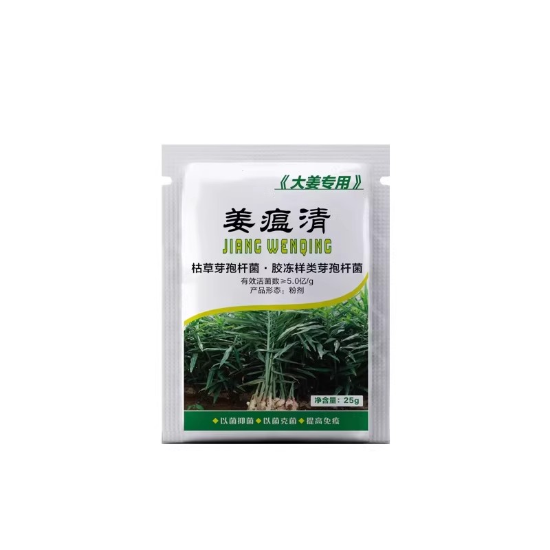 姜瘟清姜病专用生姜微生物菌剂大姜烂脖病茎基腐病黄叶干尖园艺
