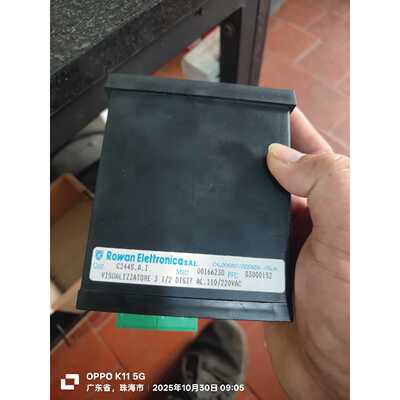 意大利Rowan Elettroca数显表，型号C244询价