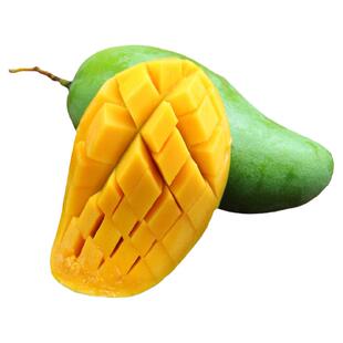 四川攀枝花特产金煌芒现摘当季水果10斤新鲜孕妇甜青皮芒果大青芒