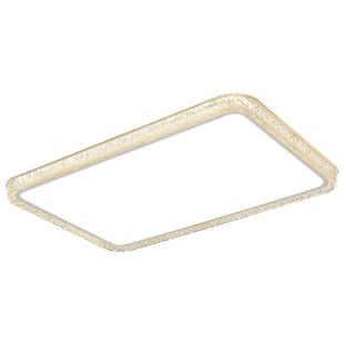 雷士照明吸顶灯主灯2025年新款大气高端轻奢灯具鸟巢高级感客厅灯