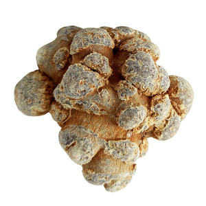 云南文山18头20头30头40头60头80头三七 田七 可免费磨粉