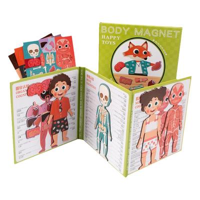 人体结构模型拼图玩具