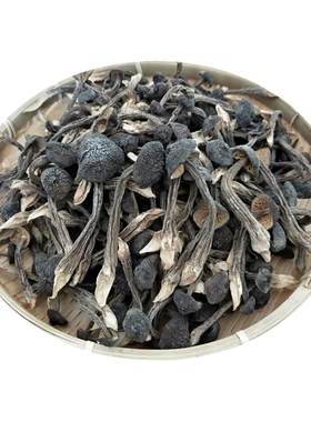 鸡枞菌干货云南粗条小黑皮鸡枞