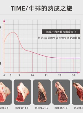 JOSOO掌声A450N牛排柜牛肉熟成柜家商用干式排酸西餐保鲜展示柜冰