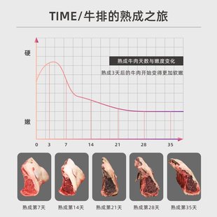 JOSOO掌声A450N牛排柜牛肉熟成柜家商用干式 排酸西餐保鲜展示柜冰