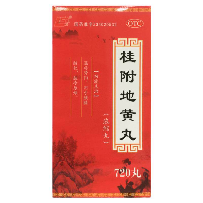 上龙 桂附地黄丸（浓缩丸） 720丸*1瓶/盒