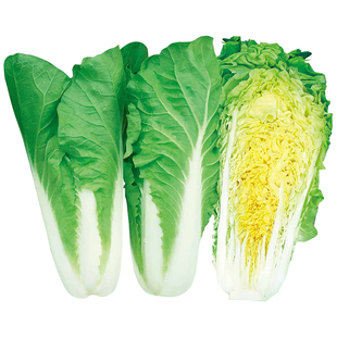 小白菜种子种籽四季南方奶油蔬菜秋季菜籽秋天种的孑白莱快菜菜种