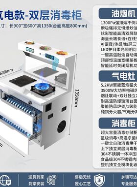 志高白色纯电集成灶气电两用一体灶智能家用厨房多功能蒸烤消毒柜