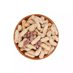 炒花生带壳原味2025新货带壳花生农家带壳烤花生熟原味炒货红皮