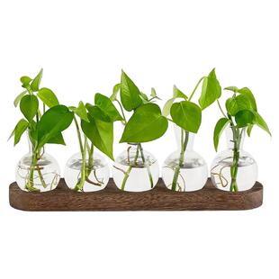创意木架水培玻璃花瓶透明 ins风绿萝植物水培器皿小花瓶桌面摆件