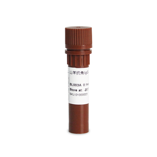 BIOSHARP LIFE SCIENCES 白鲨 BL003A 羊抗兔IgG-HRP 0.1ml/支 稳定剂15mg/ml牛血清白蛋白(不含lgG和蛋白酶)