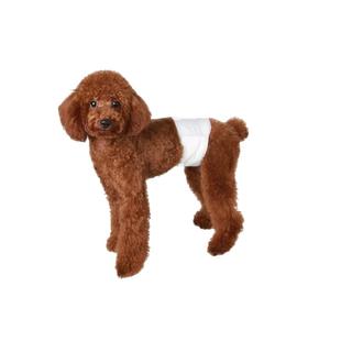 小狗狗公狗母狗生理裤姨妈纸尿裤月经卫生巾泰迪柯基尿不湿