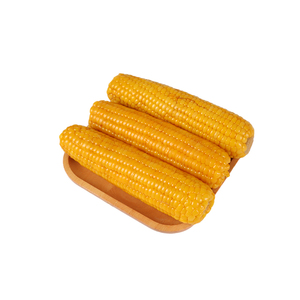 东北黄糯玉米2023新玉米真空玉米鲜食玉米旗舰店黏玉米粘苞米10根