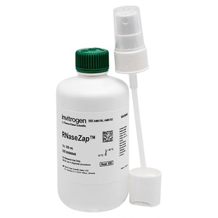 赛默飞Invitrogen RNaseZap RNase去污溶液AM9780,AM9782