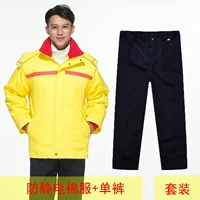 Комплект, желтый пуховик, штаны, 2 предмета