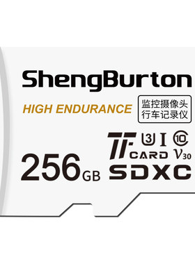 SHENGBURTON内存卡监控256g