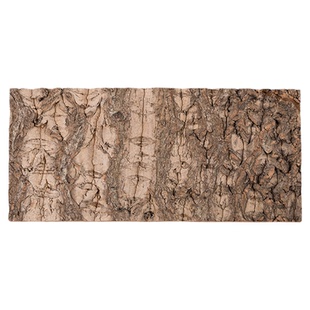 新派宠物 WACOOL玩酷爬虫爬宠饲养箱雨林缸造景背景板天然橡树皮