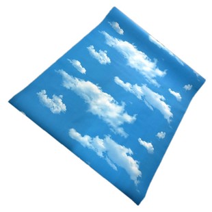 加厚PVC蓝天白云卡通防水自粘墙纸壁纸客厅吊顶天花板装饰墙贴纸