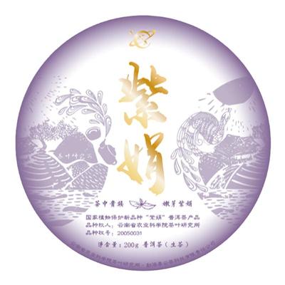 母本紫娟普洱茶云南勐海生普2025