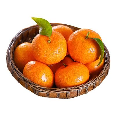 正宗广西砂糖橘，现货不用等！