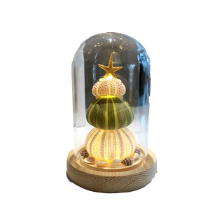 三亚海胆活动手工diy海胆壳发光贝壳小夜灯材料包送男生礼物创意