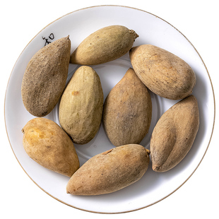 野生五倍子中药材正品官方旗舰店 五倍子粉五倍子末五贝子百虫仓