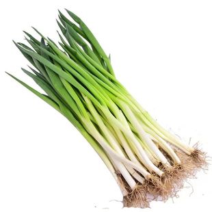 东北小葱东北蘸酱小葱新鲜小葱四季小香葱农家自种小葱新鲜蔬菜