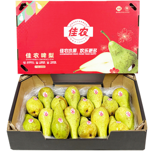 佳农比利时进口啤梨8斤礼盒 当季孕妇水果荷兰无核青啤梨大果顺丰
